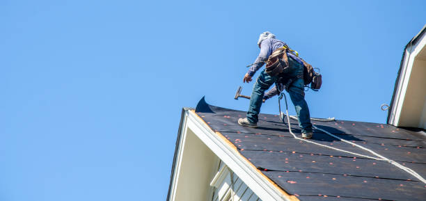 Best Roof Gutter Cleaning  in Stirling, NJ